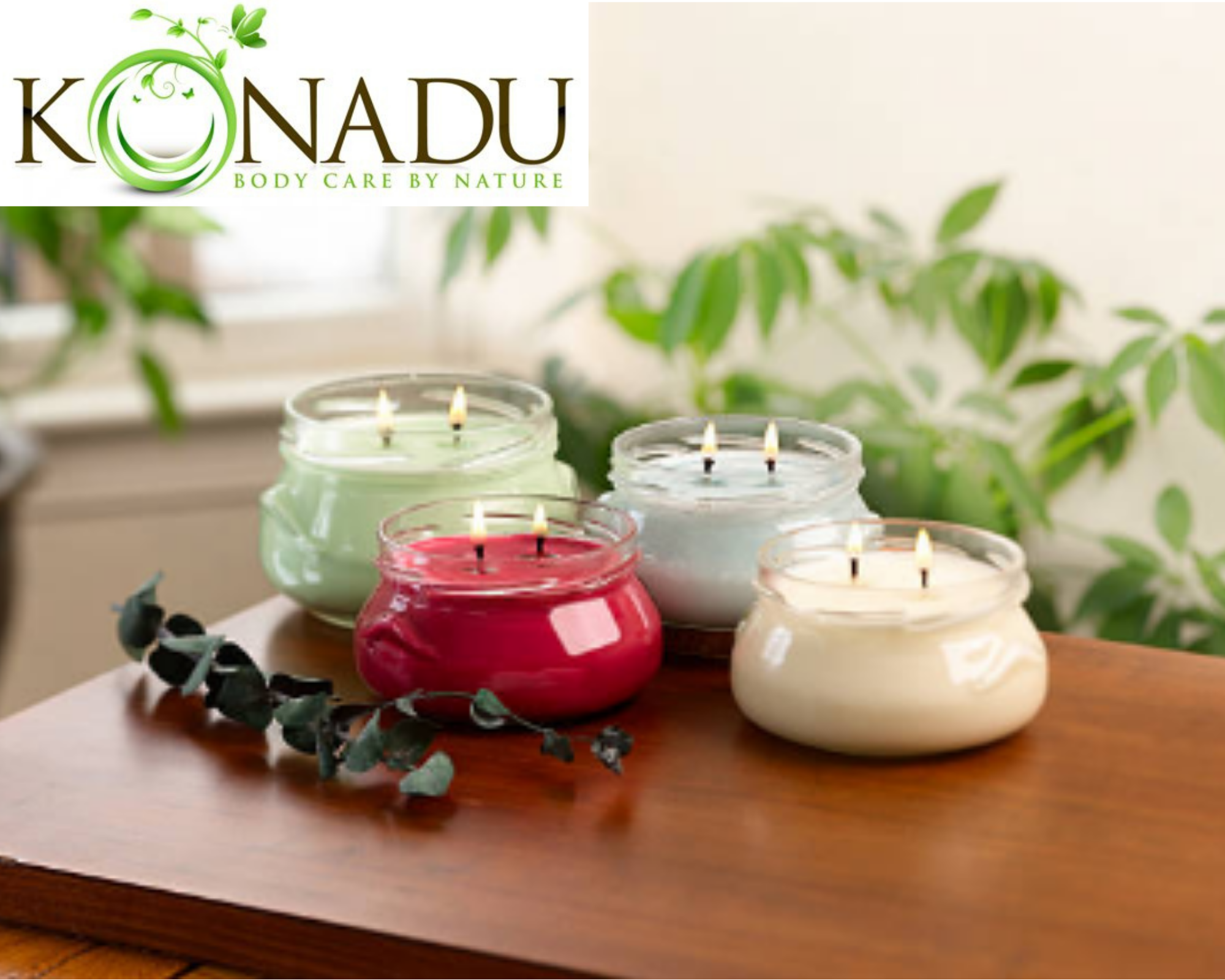 How To Burn A Soy Candle The Right Way – Natura Soylights